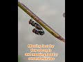 Why Do Flies Mate? Nature’s Survival Process Explained