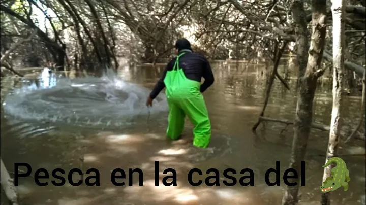 pesca de Lisa en la casa del  caymann