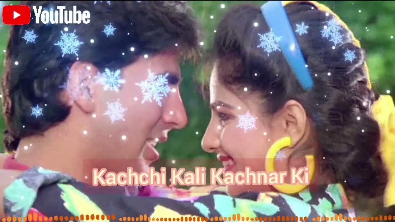 Kachi Kali Kachnar Ki Video Song Download kachchi kali kachnar ki song #90ssong #love #hindisong - YouTube