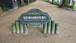 담양오방길 수목길(쉽게걷는길) 영상