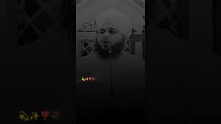 Peer Ajmal Raza Qadri..❤️ #salman_khan300_2 #shorts #ajmal #raza #ajmalrazaqadri