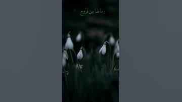 كيف بنيناها وزينٰها | القارئ : احمد النفيس | سورة ق #quran_h2o @Quran_h2o
