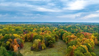Fall Trees - Parke County, Indiana