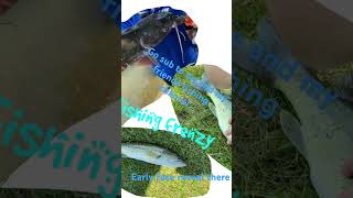 Fishing channel #subscribe #lol