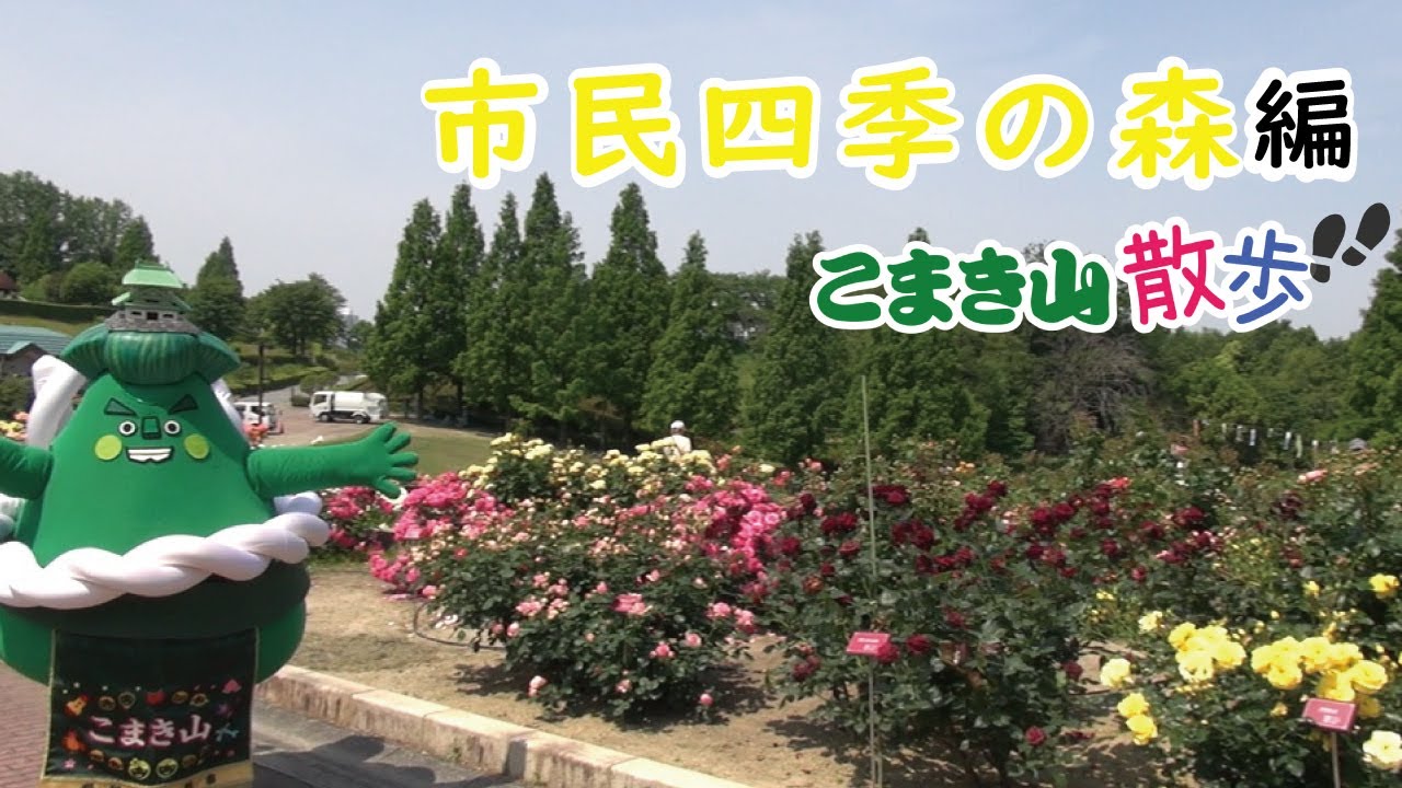 民話の森の歩きかた Amazon.co.jp: 民話の森叢書5 シャルル・ペローと歩く民話の森