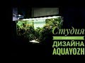 Aquascape. Студия аквариумного дизайна Aquayozh.