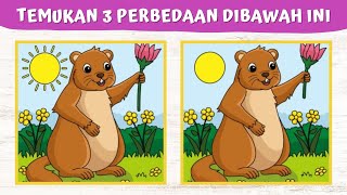Mencari Perbedaan dari Kedua Gambar di Permainan Berikut Ini