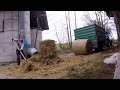 Load of Hay | Buying Hay Bales for Feeding Heifers