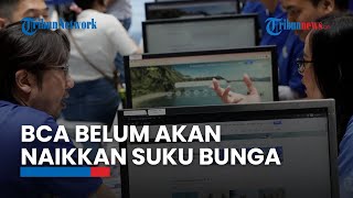 BCA Belum Akan Naikkan Suku Bunga, Konflik Israel-Hamas Belum Berdampak ke Perbankan RI