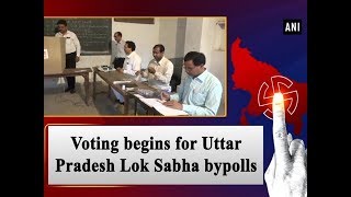 Voting begins for Uttar Pradesh Lok Sabha bypolls - Uttar Pradesh News