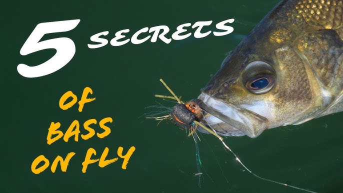 Fishing Tips & Techniques  How to Build a Bass Leader 