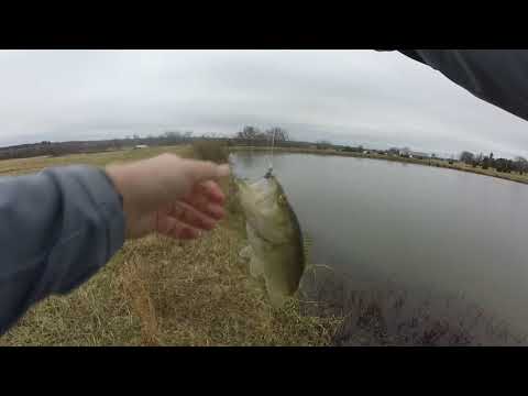 Pond bass fishing in the cold.