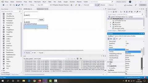TextBox Kullanımı (.aspx web sayfaları) (Visual Studio C# )
