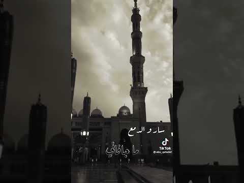 لما سار المركب نساني قصيدة يا طيبة