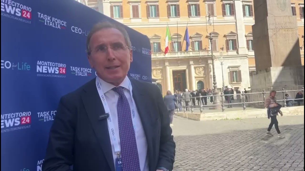 Intervista - Francesco Boccia, Senato - Task Force Italia - 02 aprile 2025