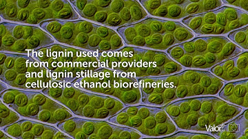 VALORPLUS project: VALORISING BIOREFINERY BY-PRODUCTS