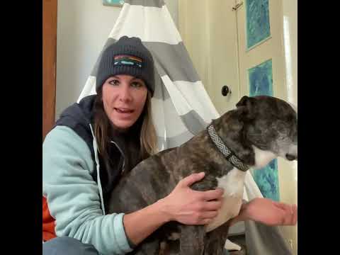 Tuesday Talks with Freedom Ep. 2