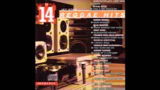 Barrington Levy - Work