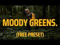 Edit Moody Greens - FREE PRESET - Dark Forest Greens Lightroom Tutorial