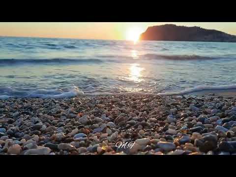 بثوب رضاك جللني محمد علي المسمار M F