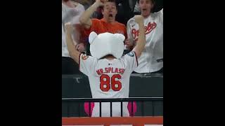 Pete Alonso hit a homer to Mr. Splash wearing a polar bear head 🐻‍❄️😂