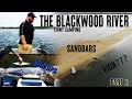 TINNY CAMPING on the BLACKWOOD RIVER - Epic River Trip and Beach Camping all from a BOAT!