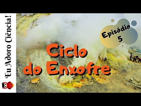 A Biogeoquímica da Natureza - Episódio 5: CICLO DO ENXOFRE (Ciclos Biogeoquímicos)