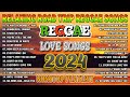 Best reggae mix 2024  reggae collection 2024  best english reggae songs