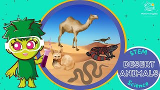 Desert Animals Ks1 Science Stem And Beyond