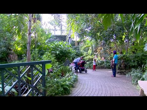 Butterflies Are Blooming At Meijer Gardens Youtube