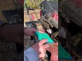 Watch how easy to replace filter on a lawn mower!