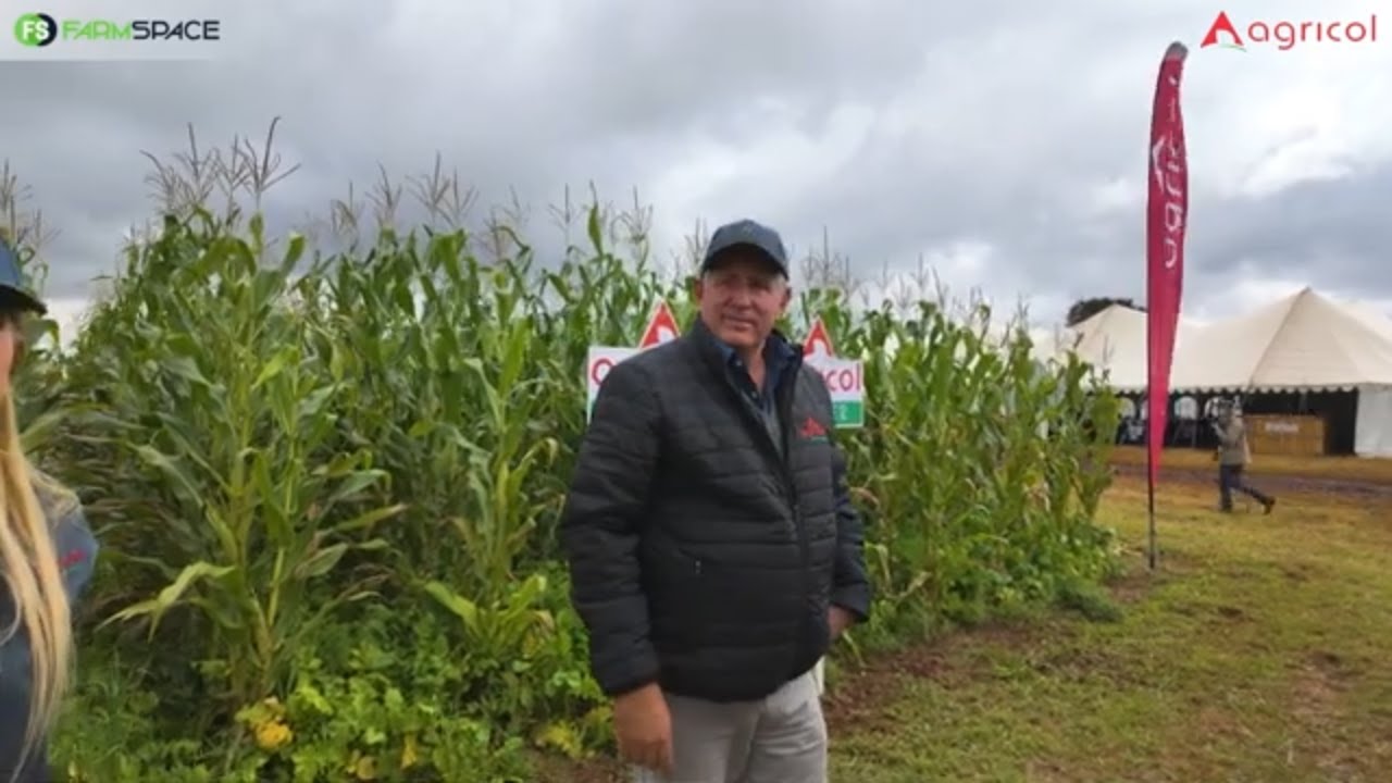 Kan jy cover crops tussen mielies plant en watter reels moet jy volg?
