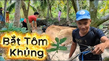 Bắt trọn ổ "Tôm Càng Xanh" ở Miền Tây