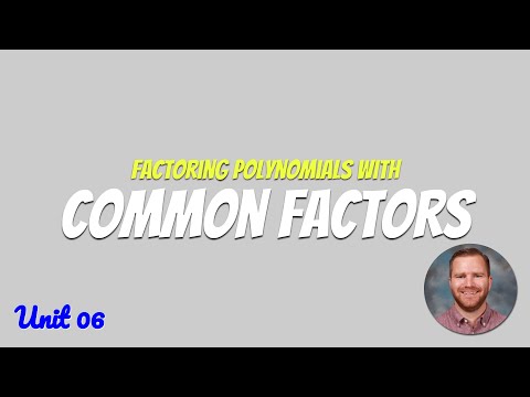 Factoring Polynomials with