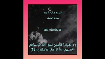 الشيخ صالح أحمد صالح- سورة الحشر