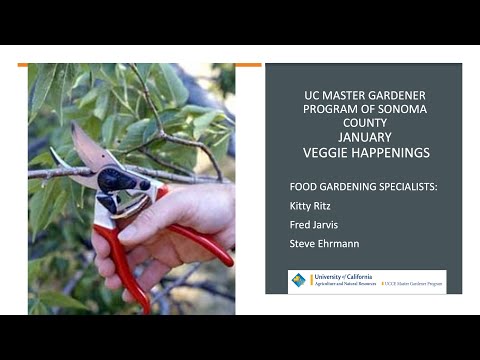 Catching Voles - UC Master Gardener Program of Sonoma County