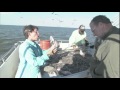 Deep Hole Shrimping - Hilton Head, South Carolina - YouTube