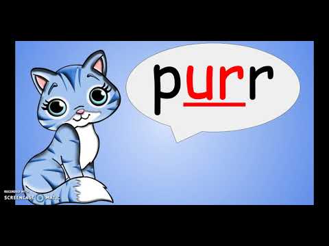 Bossy R Song - ar, or, ir, er, ur - YouTube