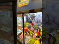 Linda Belcher Bob’s Burgers #bobsburgers #clawmachine