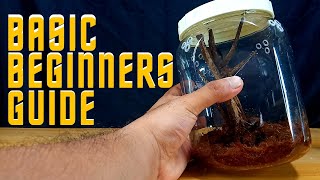 HOW to MAKE your OWN mantis enclosure I EASY STEPS!