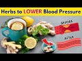 10 herbs that naturally lower blood pressure