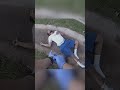 Cop Said “Get on the Ground!”… So He Jumped Off the Bridge