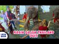 😍 KASIH DUIT GAJAH LUCU THAILAND🐘 EH DUITNYA DIMAKAN 😆🤣