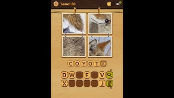 4 Pics Puzzle Guess 1 Word 19 Package Level 50 Answers