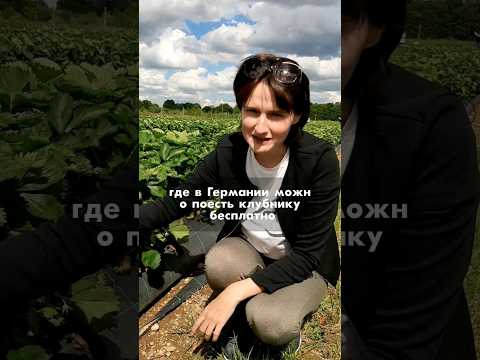 Клубника бесплатно?😉 #германия
