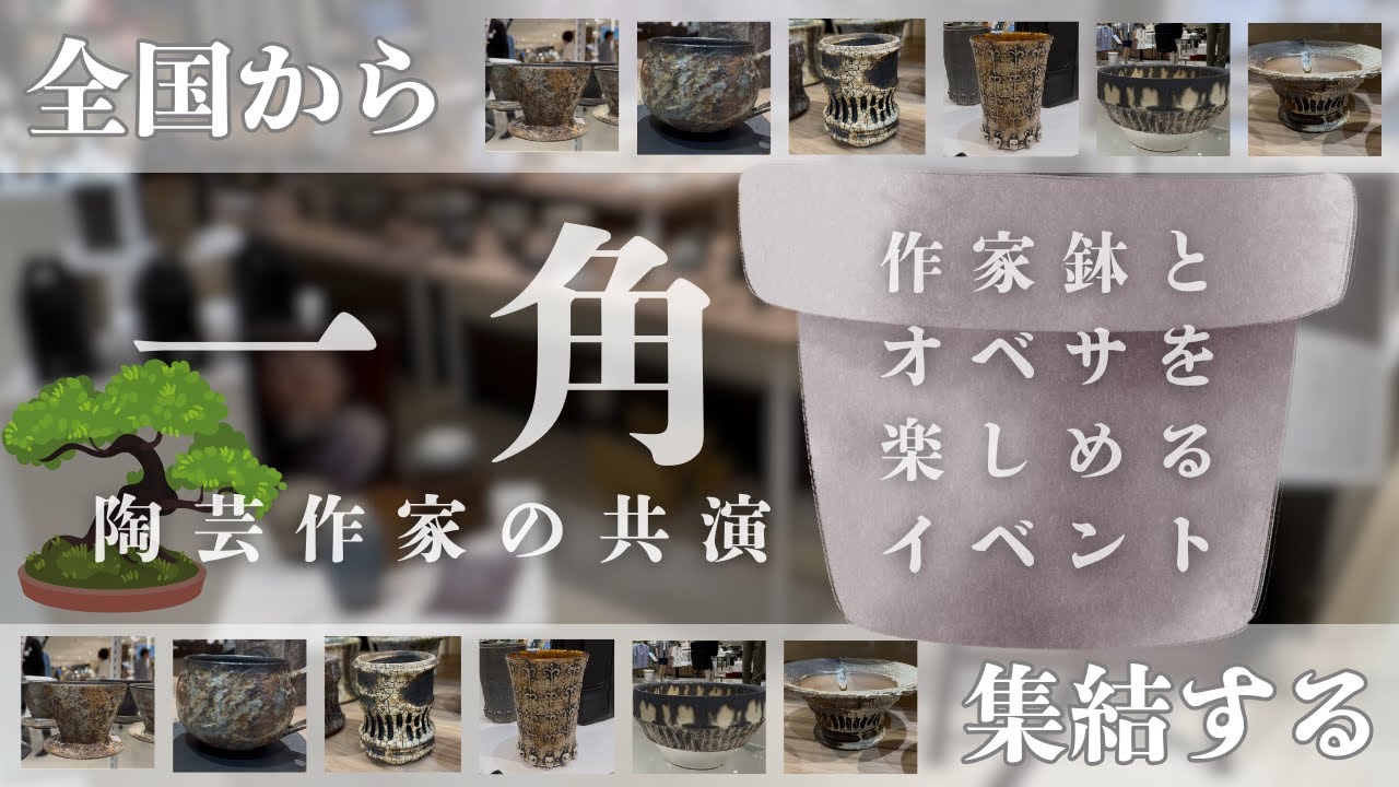 vol.24【最新作家鉢特集！】阪急でレアオベサと全国の作家鉢を