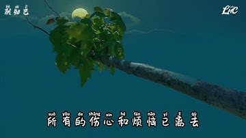 Bié zhījǐ 别知己（动感拼音歌词）