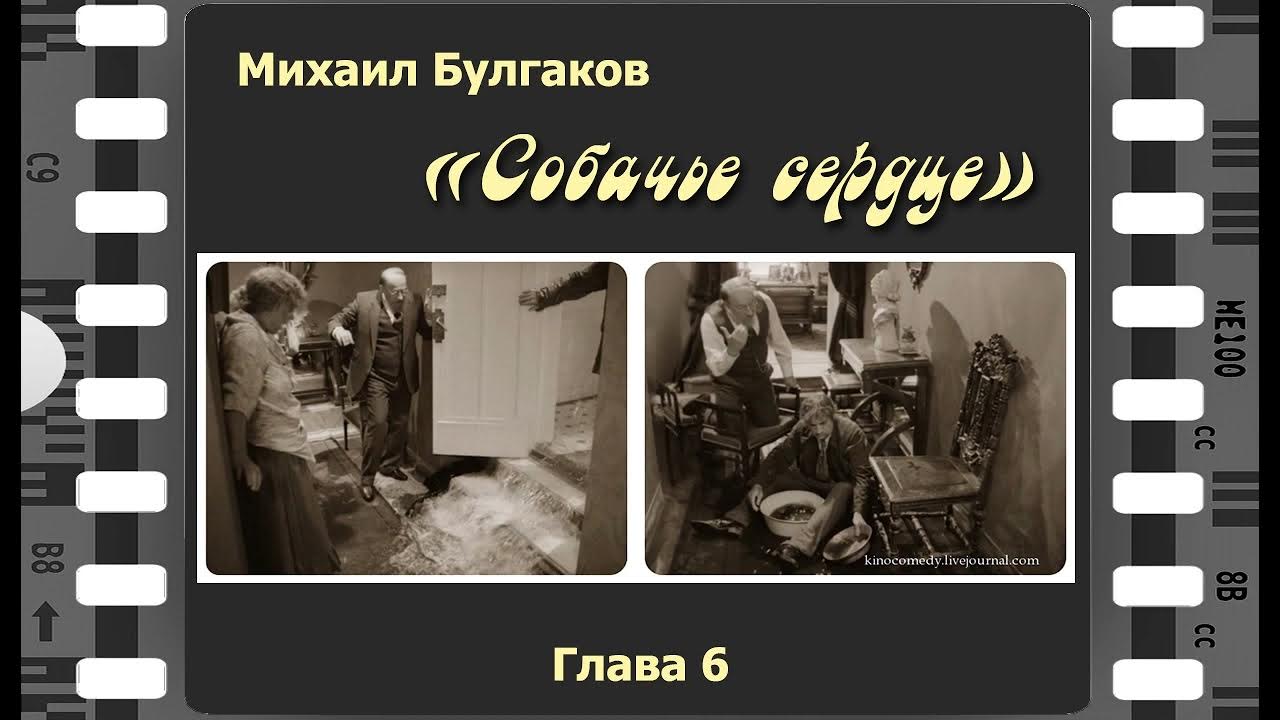 Контрольная работа собачье сердце 8 класс. Собачье сердце аудиокнига по главам.
