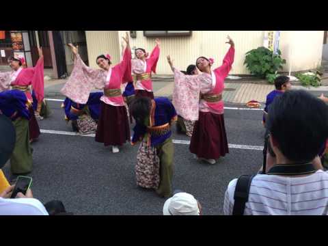 各務原六軒踊りん祭2016　常笑（旭会場）