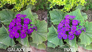 Samsung Galaxy S8 Plus vs Google Pixel XL Camera Test! 1080p